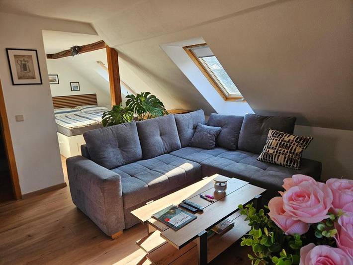 Ferienwohnung für 4 Personen, mit Terrasse und Garten sowie Ausblick in Leisnig