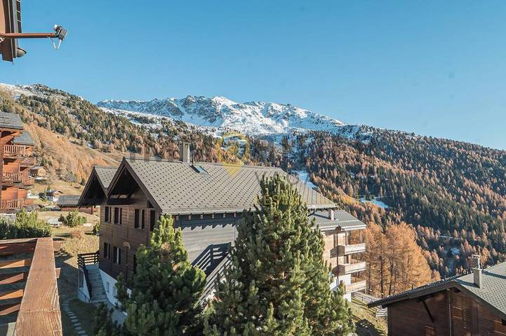Ganze Wohnung, Idéalement situé, à une minute à pied des commerces et du bus navette, idéal pour 5 à 6 personnes. A in Chandolin, Anniviers