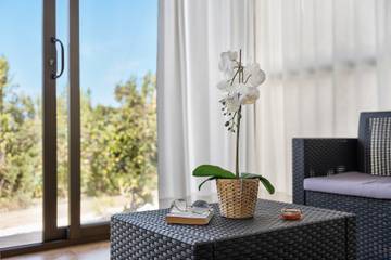 Apartamento para 4 Personas en Tijarafe, La Palma Norte, Foto 3