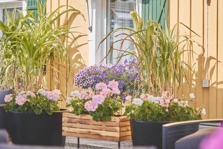 Hostel für 2 Personen, mit Terrasse und Sauna in Vimmerby