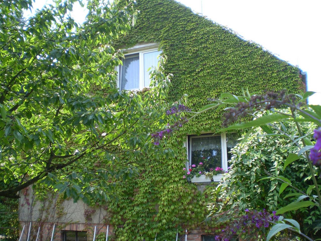Ganze Wohnung, Ferienwohnung 'Wolf' mit privater Terrasse, Gemeinschaftsgarten und Wlan in Neuruppin, Ruppiner Seenland