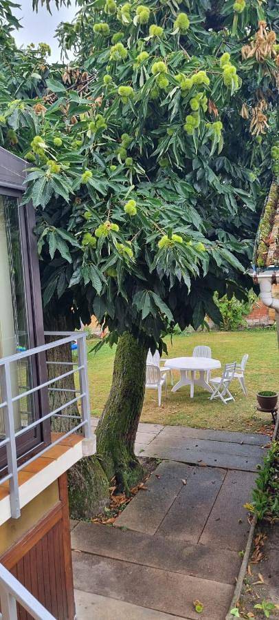 Gîte pour 2 personnes, avec jardin et terrasse à Sainte-Geneviève-des-Bois - 3