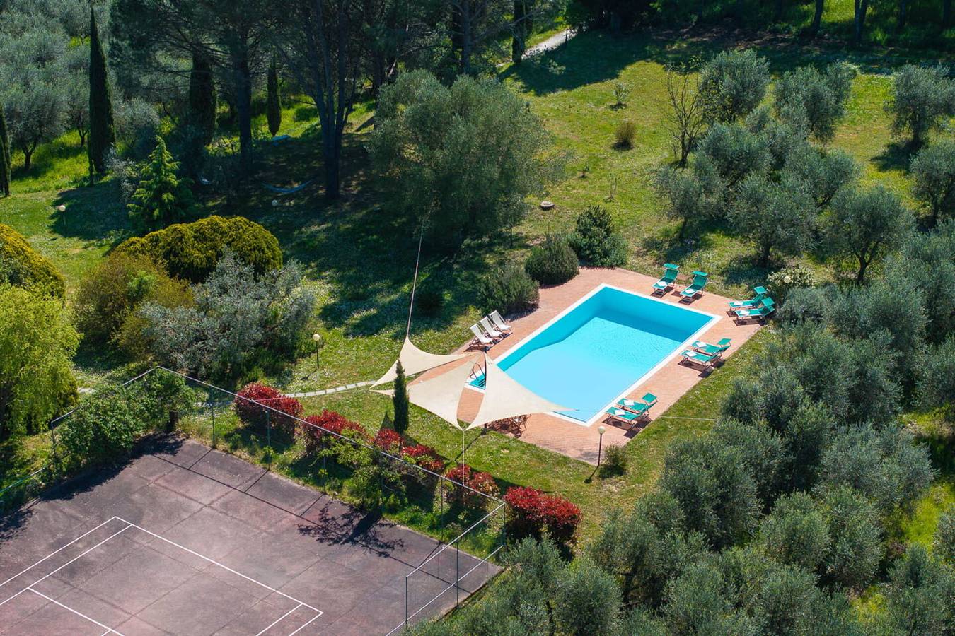 Il Leccio, Vinci, Private Pool and Tennis - Il Leccio in Vinci, Firenze province