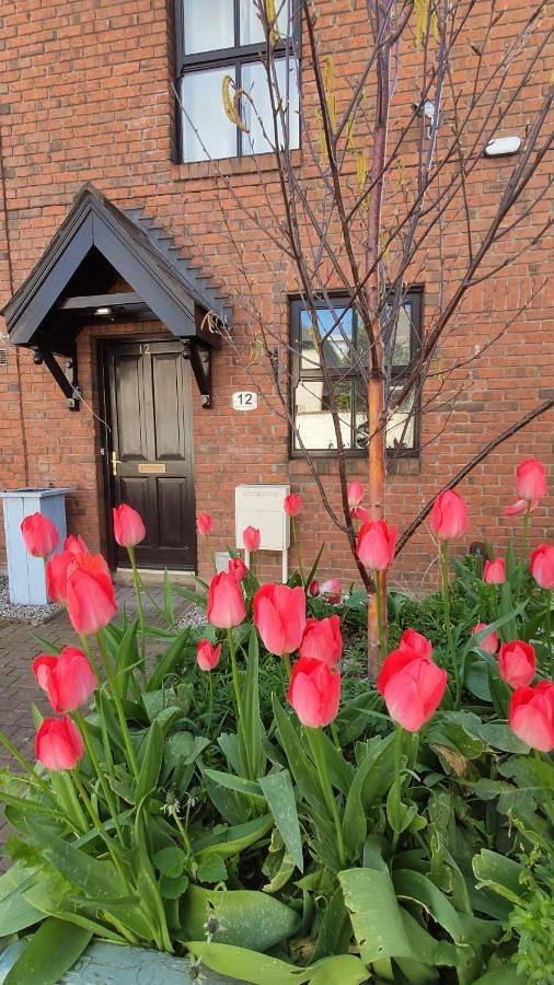 Vakantiehuis voor 6 personen, met tuin in Dublin