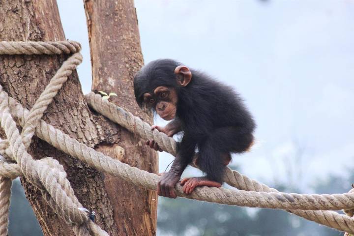Hotel für 2 Personen, mit Terrasse und Pool sowie Sauna, mit Haustier in Osnabrück - 4