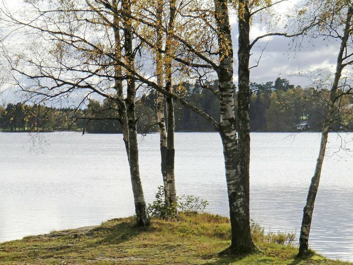 Ferienhaus für 4 Personen am Bolmen - 4