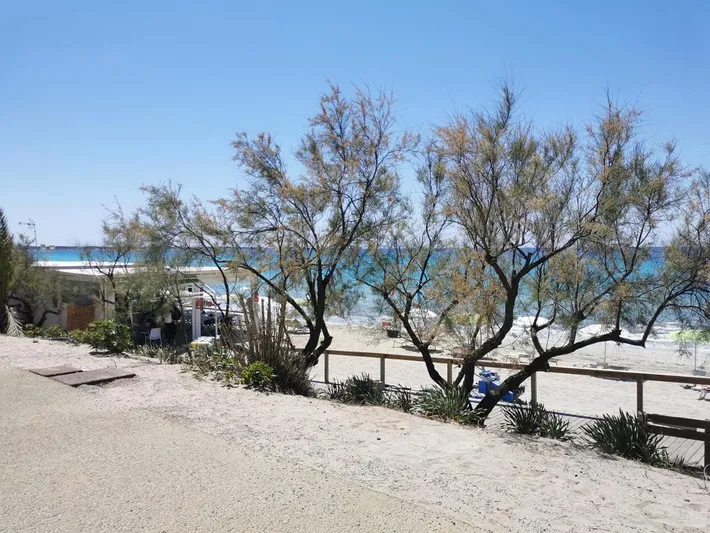 Appartement de vacances pour 5 personnes, avec vue et jardin, animaux acceptés - 1
