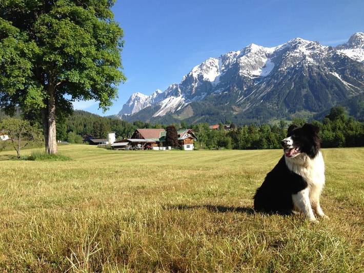 Ferienwohnung für 4 Personen, mit Garten, kinderfreundlich in Ramsau am Dachstein - 3