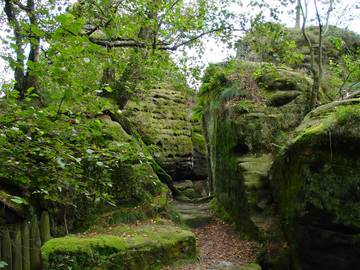 Bauernhof für 4 Personen in Struppen, Elbsandsteingebirge, Bild 4