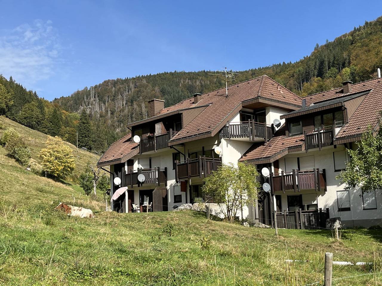 Apartamento entero, Sonnenblick Iii in Todtnau, Selva Negra (zona sur)