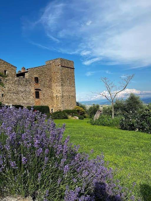 Casa de vacaciones para 5 personas, con piscina y jardín además de sauna y terraza - 1