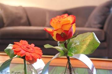 Hôtel pour 2 personnes, avec terrasse, animaux acceptés à Lourdes