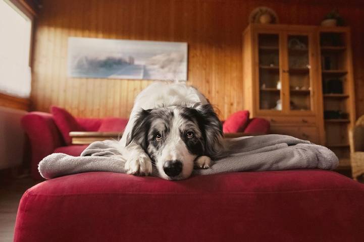 Ferienhaus für 2 Personen, mit Terrasse und Garten, kinderfreundlich in Naturpark Lauenburgische Seen - 2