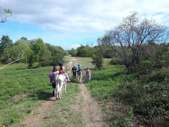 Tente pour 6 personnes en Gironde - 2