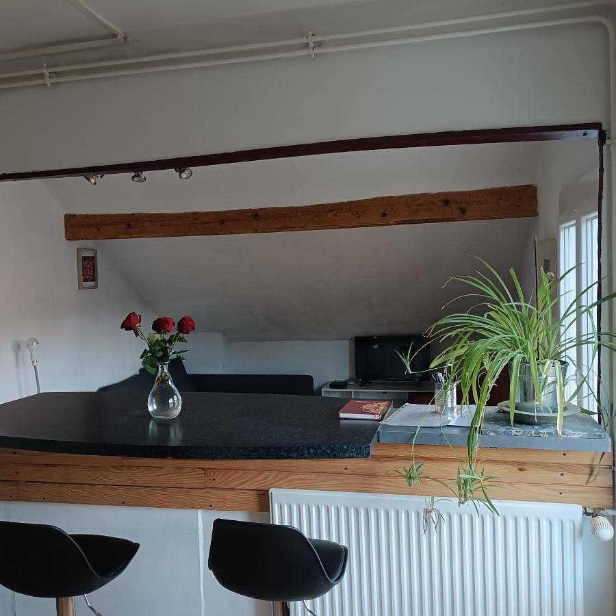Appartement entier, Sous Les Toits Arverne in Chamalières, Parc naturel régional des Volcans d'Auvergne