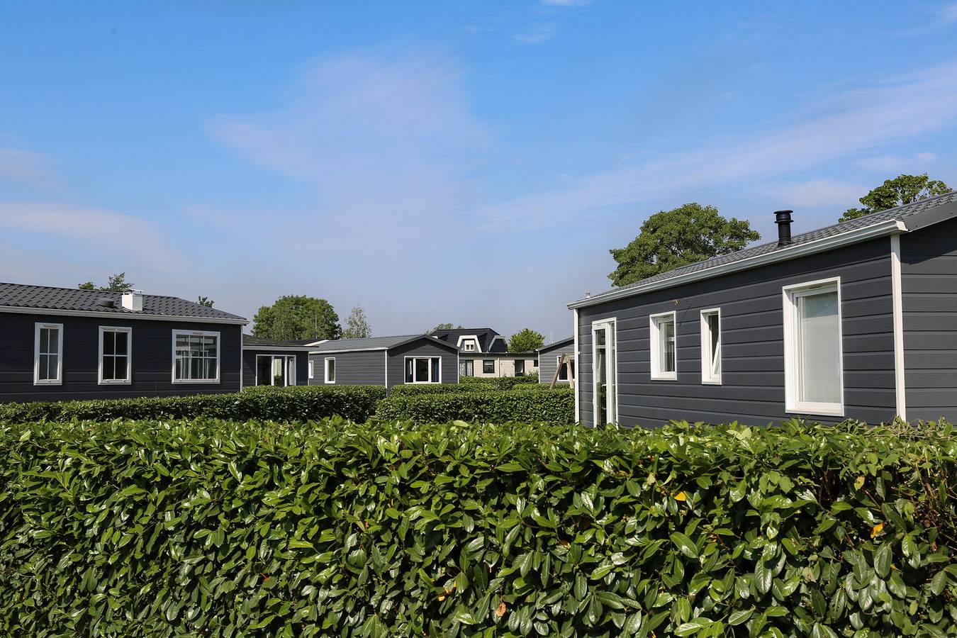 Resort Rhederlaagse Meren — Veluwe Lodge | 4 personen people in IJssel