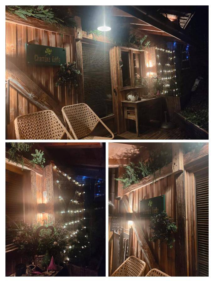 Chambre d’hôte pour 2 personnes, avec piscine ainsi que jardin et vue en Haute-Savoie - 4