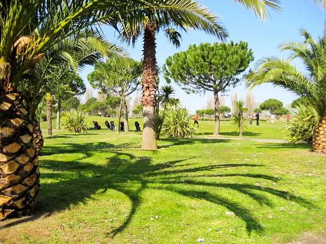 Villa pour 6 personnes, avec jardin ainsi que balcon et piscine à La Grande-Motte - 4