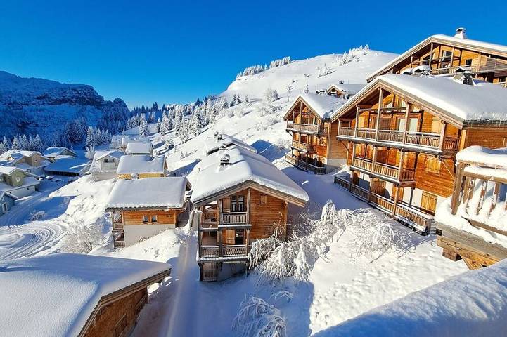 Location de vacances pour 9 personnes, avec jacuzzi ainsi que balcon et sauna, animaux acceptés dans Les Carroz