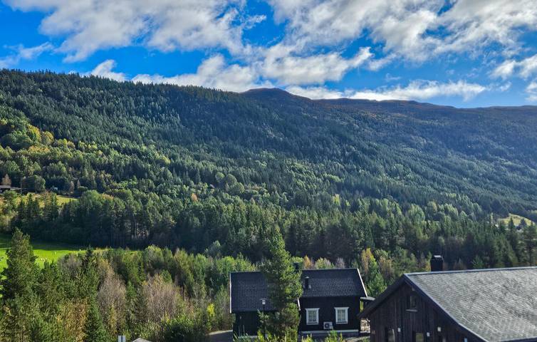 Ganze Ferienwohnung, Ferienwohnung für 10 Personen mit Ausblick in Uvdal, Nore og Uvdal