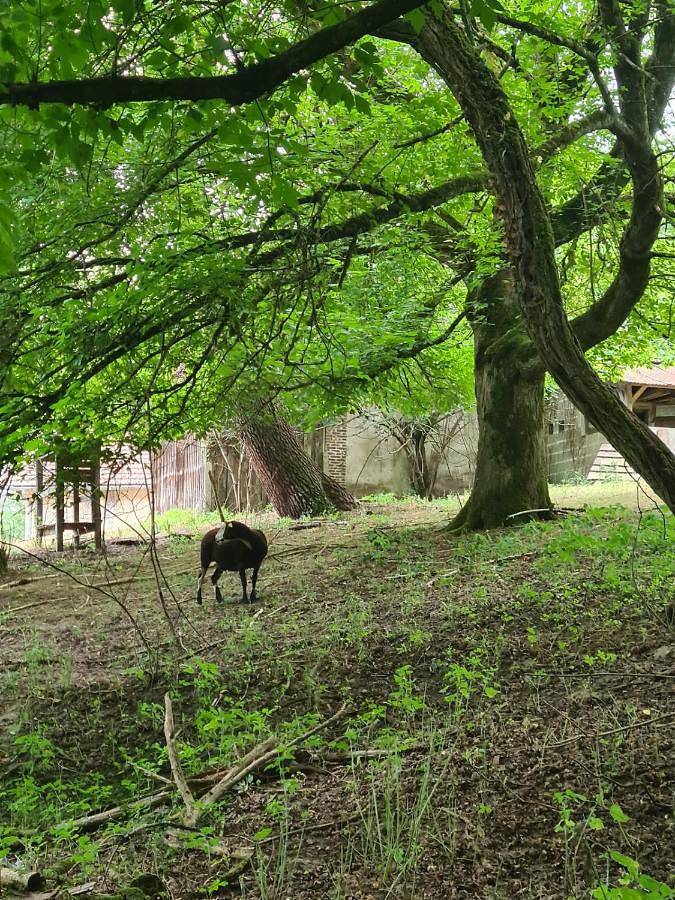 L'écrin du Temps in Brocas, Landes