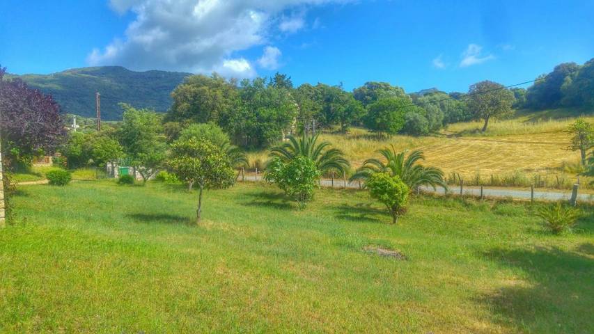 Location de vacances pour 6 personnes, avec jardin et vue, animaux acceptés dans Filitosa - 3