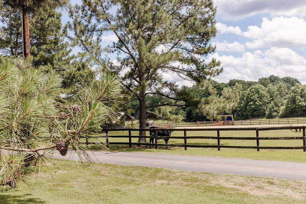 Cabin at Ie Farm - Schöne Aussicht auf die Weide, 7. 8 Meile Fahrt zum Equestrian Center in Polk County NC