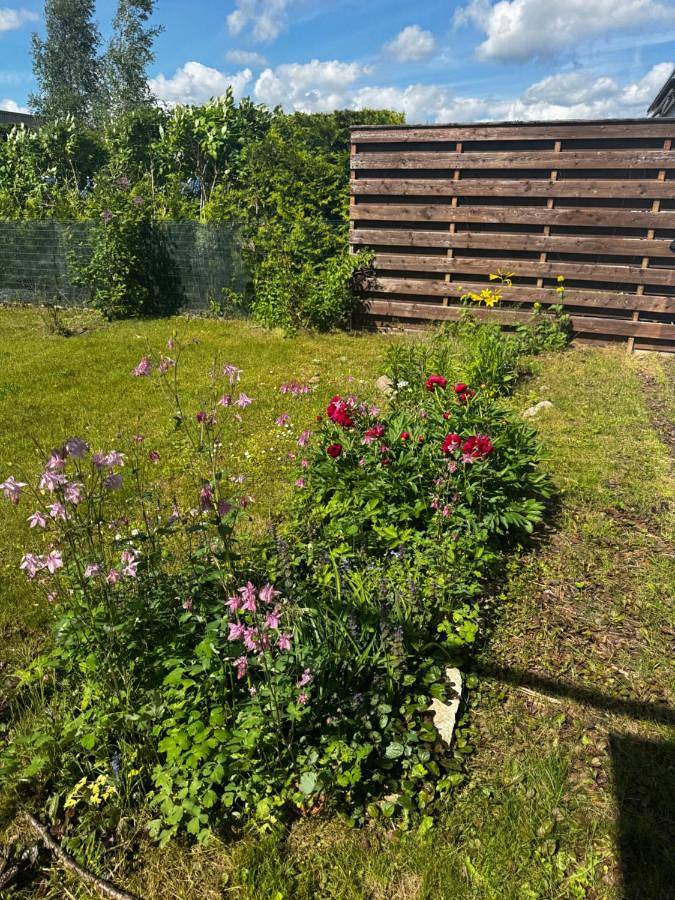 Gîte pour 12 personnes, avec vue ainsi que sauna et jardin à Tartu - 3
