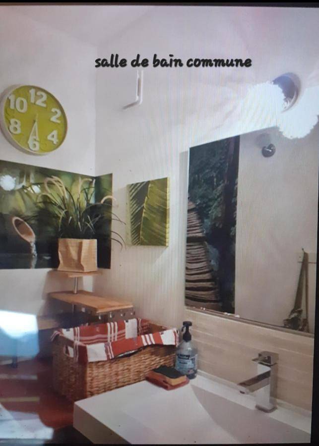 Gîte pour 2 personnes, avec vue et terrasse, animaux acceptés à Duingt - 4