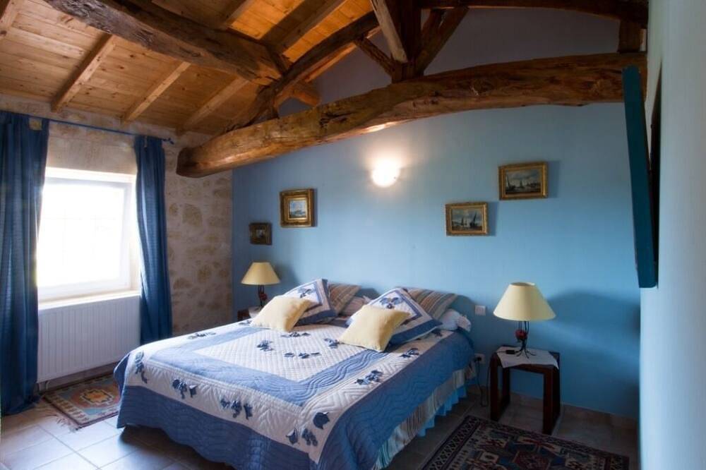 Promo Mai Juin - Château viticole 19ème siècle au coeur du vignoble. Piscine&Spa in Cézac, Région de Blaye