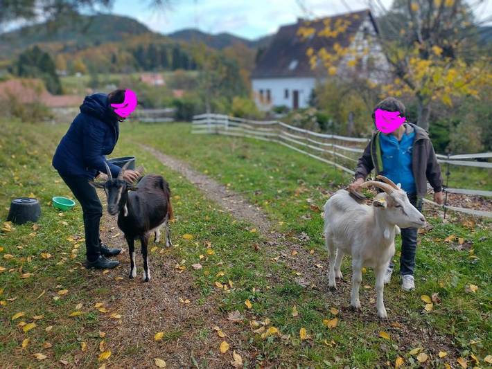 Chambre d’hôte pour 2 personnes, avec jardin et vue dans Parc naturel régional des Vosges du Nord - 2