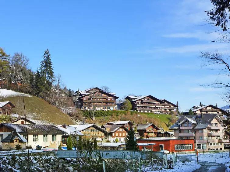 Ganze Wohnung, 4 Pièces 6 Personnes in Saanenmöser, Zweisimmen