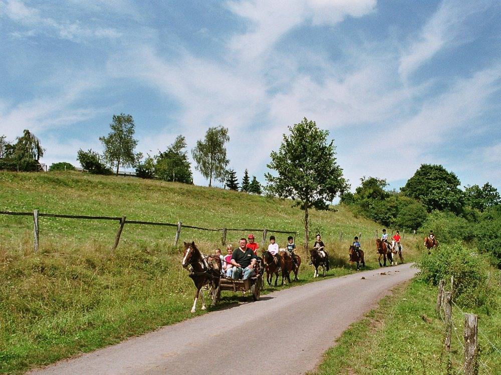 Reiterlandhof - Nr. 6 + 7 Ferienwohnung Schwalbennest in Lichtenfels, Waldecker Land