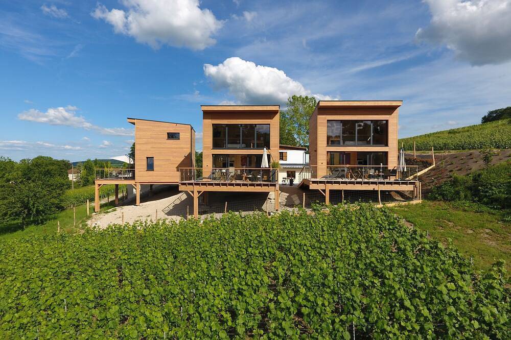 Gîte-hôtelier panoramique. Votre séjour en Champagne dans un village viticole. in Chigny-les-Roses, Parc naturel régional de la Montagne de Reims