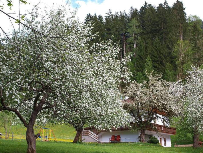 Ferienhaus für 7 Personen, mit Garten und Terrasse im Zillertal - 2