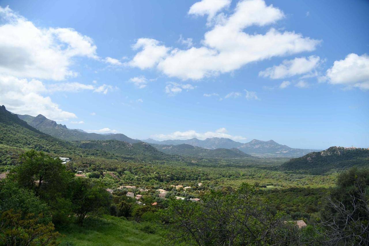 Casa Maestracci in Zilia, Région de Calvi