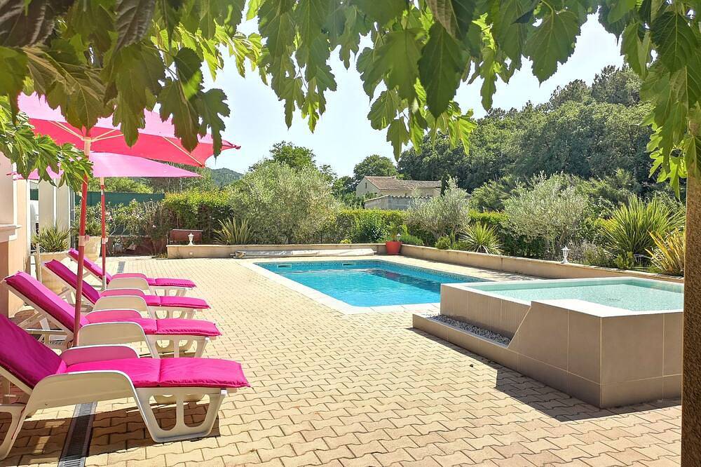 The Provence cicada in Saint-Paul-Trois-Châteaux, Nyons region