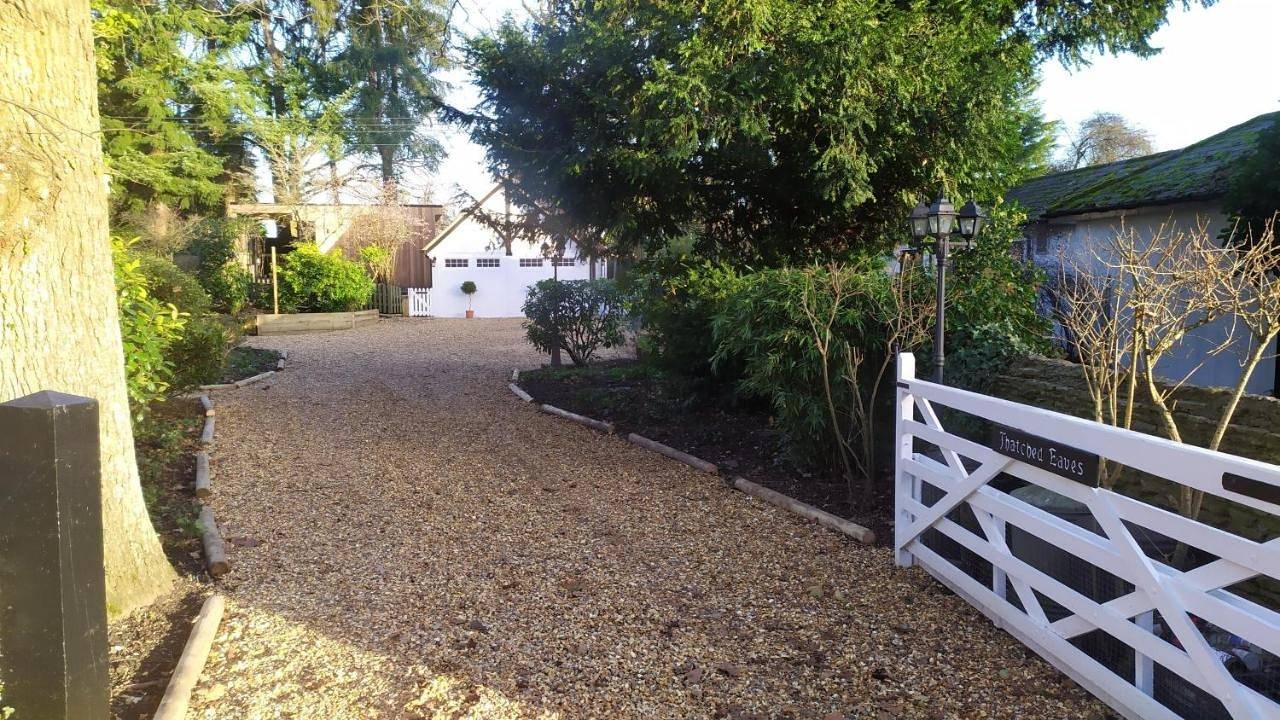 Deluxe Family Room in Hampshire