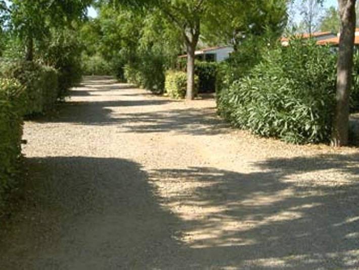 Gîte pour 4 personnes à Tourbes - 3
