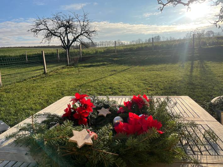 Ferienhaus für 8 Personen, mit Terrasse und Ausblick sowie Garten, kinderfreundlich in Göhren-Lebbin - 2