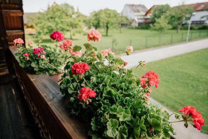 Ferienhaus für 3 Personen, mit Balkon und Garten sowie Ausblick in Schiefling am See - 2