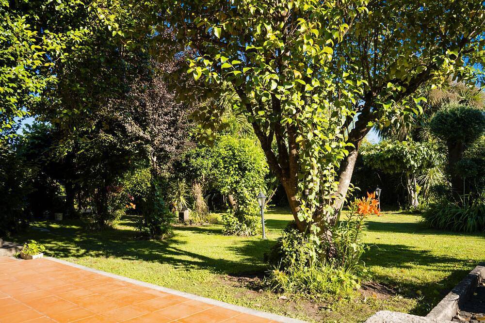 Cottage - Pedraça, Cabeceiras de Basto Charmant huis met een grote tuin, barbecue en zwembad in gated landgoed. in Cabeceiras de Basto (Cidade), Braga District