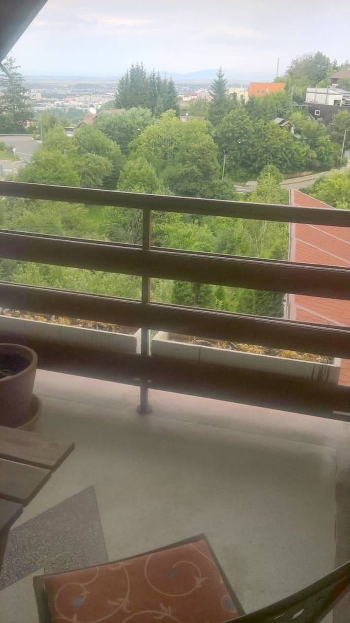 Maison d’hôte pour 3 personnes, avec vue et jardin à Brașov - 4