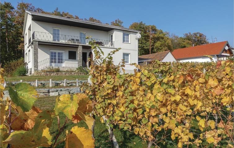 Ferienhaus für 10 Personen mit Terrasse in Eisenberg an der Pinka, Südburgenland