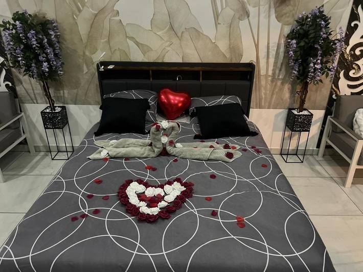 Maison d’hôte pour 2 personnes, avec piscine ainsi que jacuzzi et sauna, animaux acceptés à Douai - 4