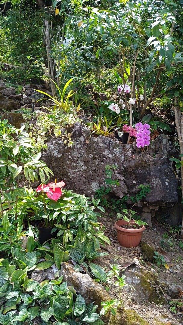 Instant Kréol - vue Océan in Saint-Louis (Réunion), Île de la Réunion