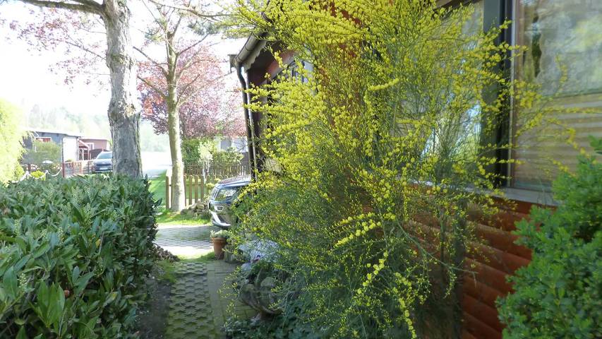 Ferienhaus für 4 Personen, mit Terrasse und Garten in Osnabrücker Land - 3