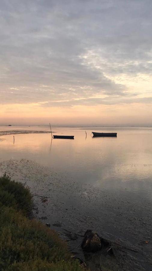 Maison de campagne pour 4 personnes, avec terrasse et vue, adapté aux familles à Amposta - 3