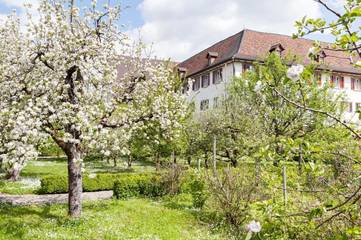 Maison d’hôte pour 3 personnes, avec terrasse et jardin, animaux acceptés à Dornach