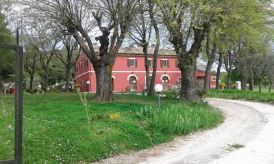 Gîte pour 9 personnes, avec vue et jardin, animaux acceptés à Serrungarina